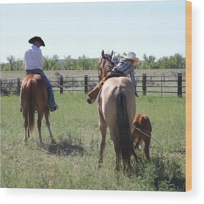 Wyoming 2014 Wood Print featuring the photograph Heals by Diane Bohna