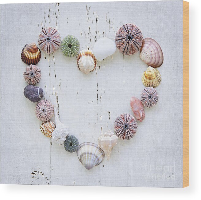 Heart Wood Print featuring the photograph Heart of seashells and rocks by Elena Elisseeva