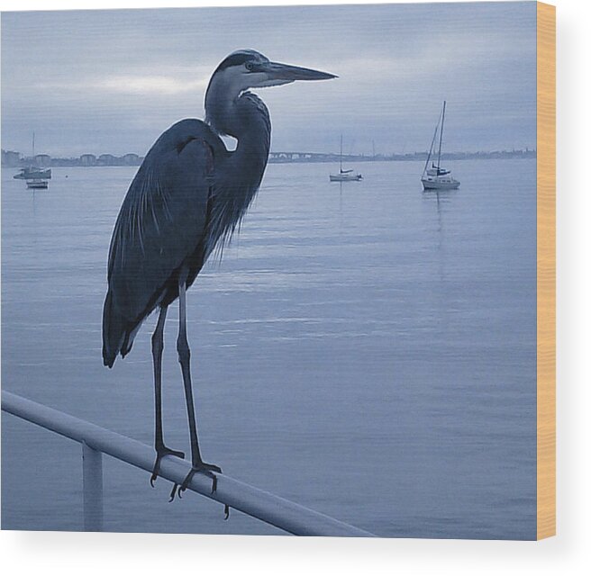 Steve Sperry Photography Gulfport Florida Wood Print featuring the digital art Heron in Blue by Steve Sperry