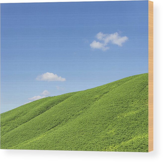 Scenics Wood Print featuring the photograph Hill In The Lake District, England by David Madison