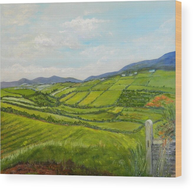 Ireland Wood Print featuring the painting Irish Fields - Landscape by Sandra Nardone