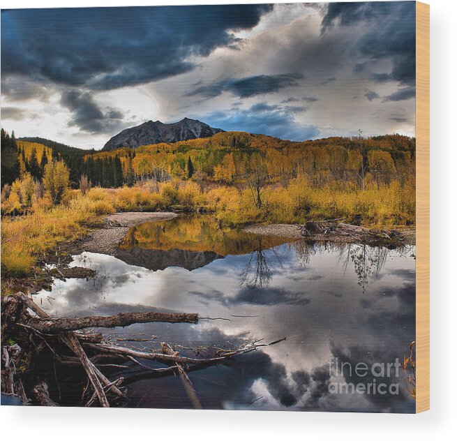 Nature Wood Print featuring the photograph Jack's Pond by Steven Reed