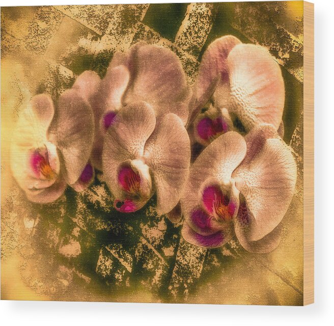 Digital Art Wood Print featuring the digital art Late Summer Orchids by Jill Balsam