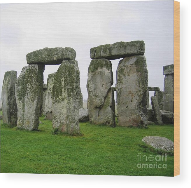 Stonehenge Wood Print featuring the photograph Life On The Rocks by Denise Railey