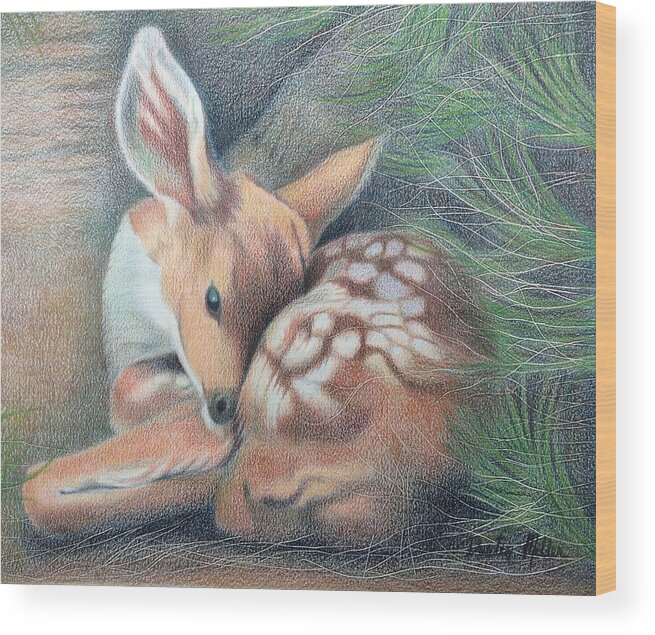 Art Wood Print featuring the drawing Mule Deer Fawn by Dustin Miller