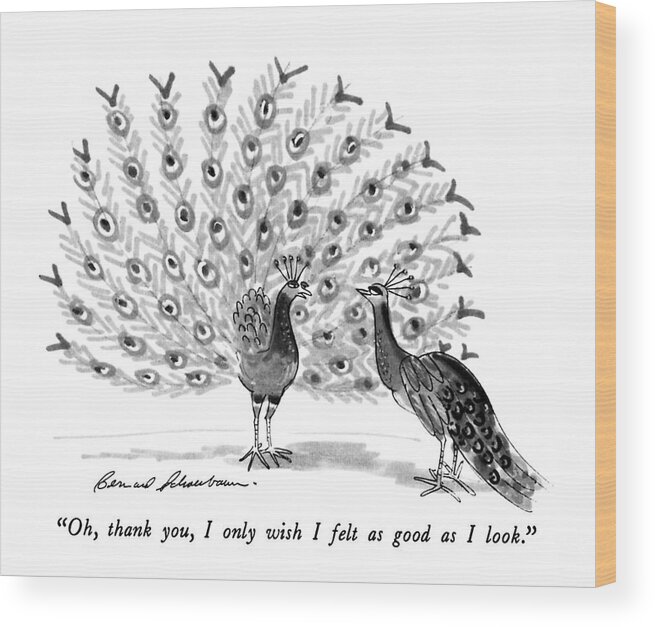 

 One Peacock To Another. Animals Wood Print featuring the drawing Oh, Thank You, I Only Wish I Felt As Good by Bernard Schoenbaum