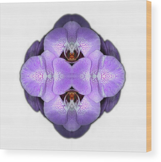 Tranquility Wood Print featuring the photograph Orchid by Silvia Otte