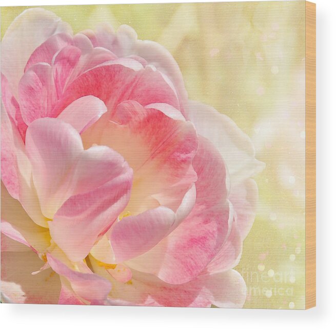 Flower Wood Print featuring the photograph Parrot Tulip by Elaine Manley