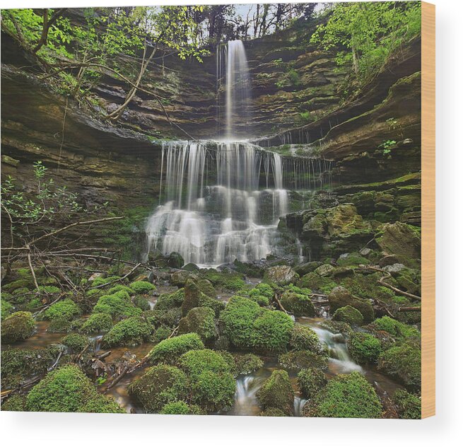 Tim Fitzharris Wood Print featuring the photograph Pearly Springs Waterfall Buffalo by Tim Fitzharris