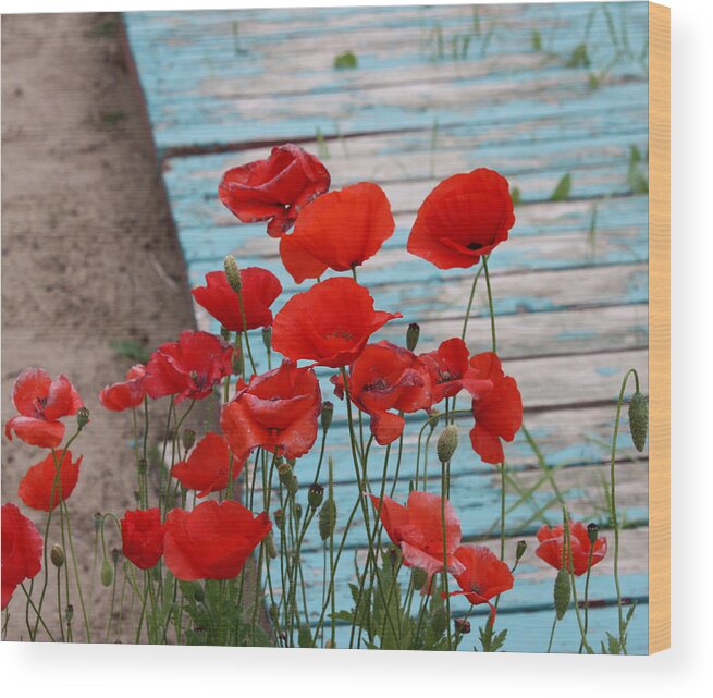 Poppies Wood Print featuring the photograph Poppies in Yard by J C