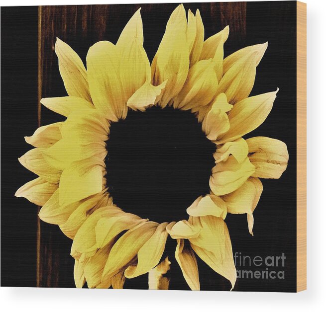 Photo Wood Print featuring the photograph Pretty Macro Sunflower by Marsha Heiken