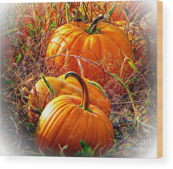 Fall Wood Print featuring the photograph Pumpkin Patch by Michelle Frizzell-Thompson