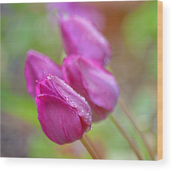 Art Wood Print featuring the photograph Purple Tulips by Joan Han