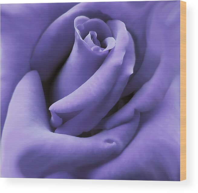 Rose Wood Print featuring the photograph Purple Velvet Rose Flower by Jennie Marie Schell