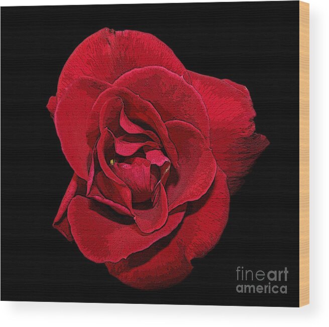 Poster Edge Effect Wood Print featuring the photograph Red Rose with Poster Edges Effect by Rose Santuci-Sofranko