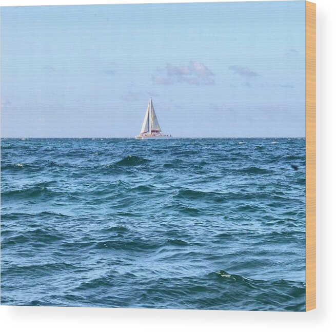 Sailing Wood Print featuring the photograph Sailing by Debbie Levene
