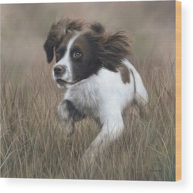 Springer Spaniel Wood Print featuring the painting Springer Spaniel Painting by Rachel Stribbling