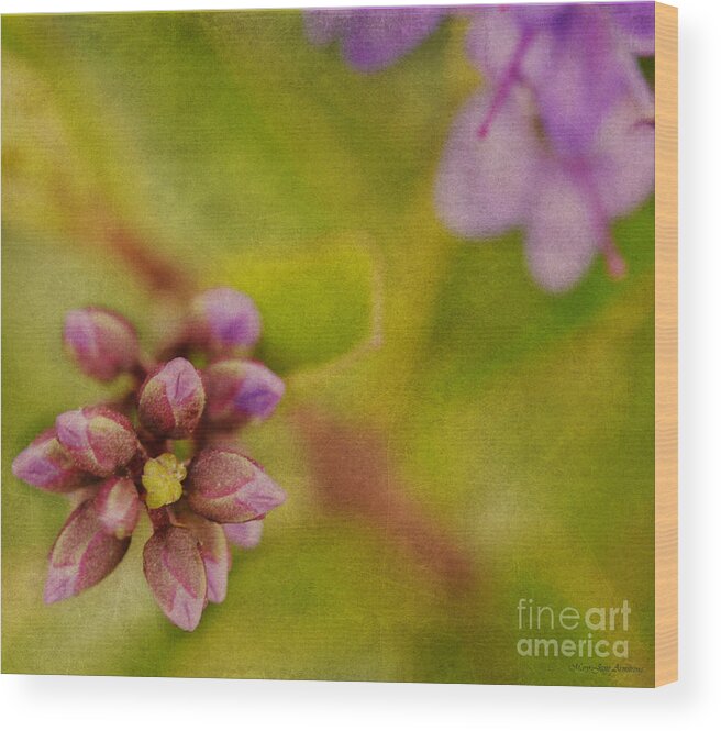 Floral Wood Print featuring the photograph Summer Floral Cluster by Mary Jane Armstrong
