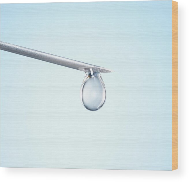 Medical Equipment Wood Print featuring the photograph Syringe Needle With Droplet, Close Up by Stuart Minzey