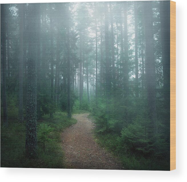 Forest Wood Print featuring the photograph The Forest Of Secrets by Christian Lindsten