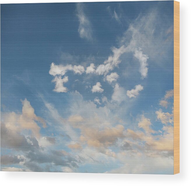 California Wood Print featuring the photograph The Key To Cloud Computing by John Lund