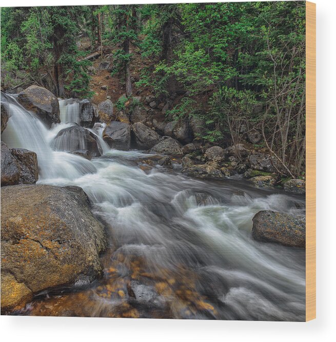 Forest Wood Print featuring the photograph The Path Of The Forest Brook by Tim Reaves