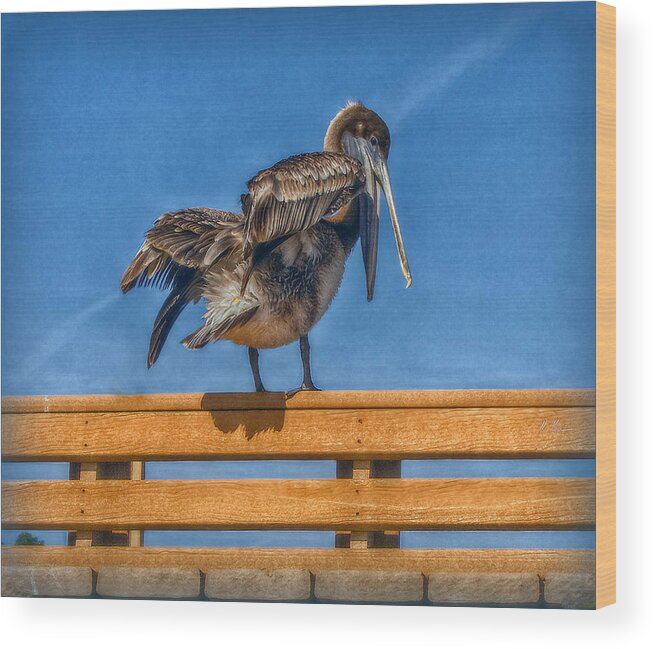 Pelican Wood Print featuring the photograph The Pelican by Hanny Heim