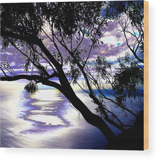 Funchal Wood Print featuring the photograph Tree in Silhouette by Tracy Winter