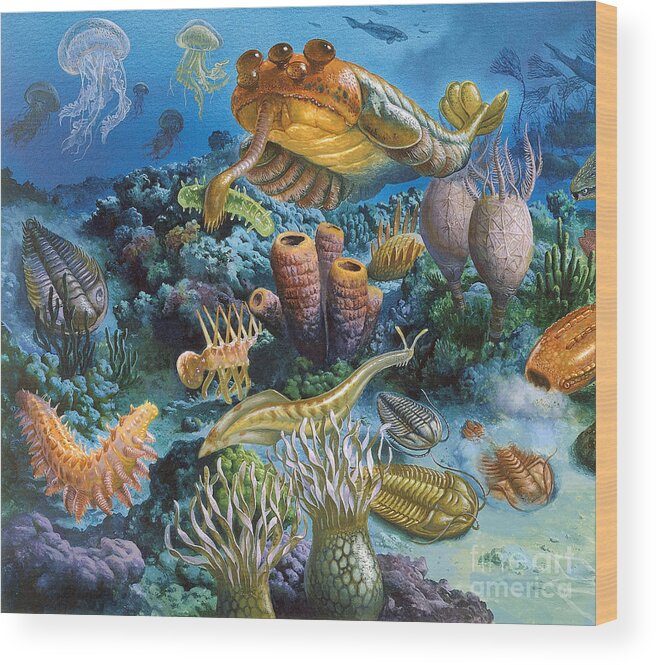 Illustration Wood Print featuring the photograph Underwater Paleozoic Landscape by Publiphoto