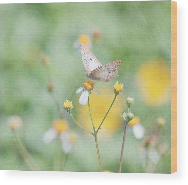 Butterfly Wood Print featuring the photograph White Peacock Butterfly by Kim Hojnacki