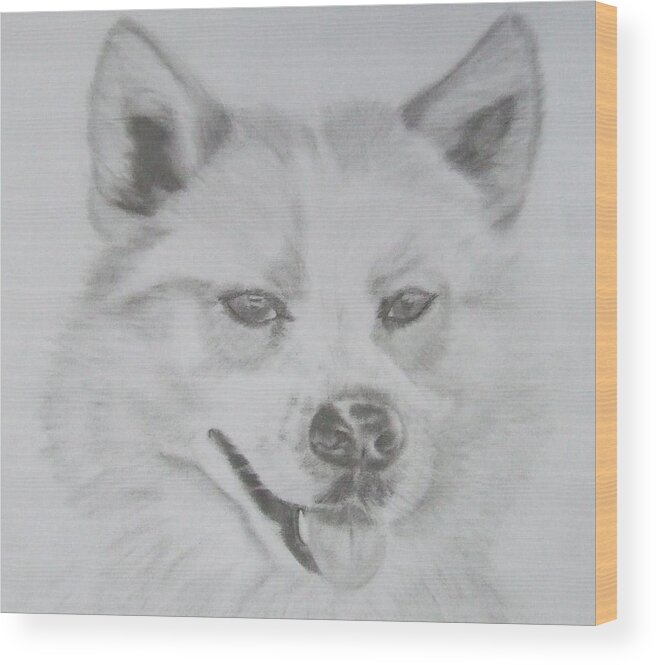 Sandra Muirhead Wood Print featuring the drawing Wolf The Husky by Sandra Muirhead