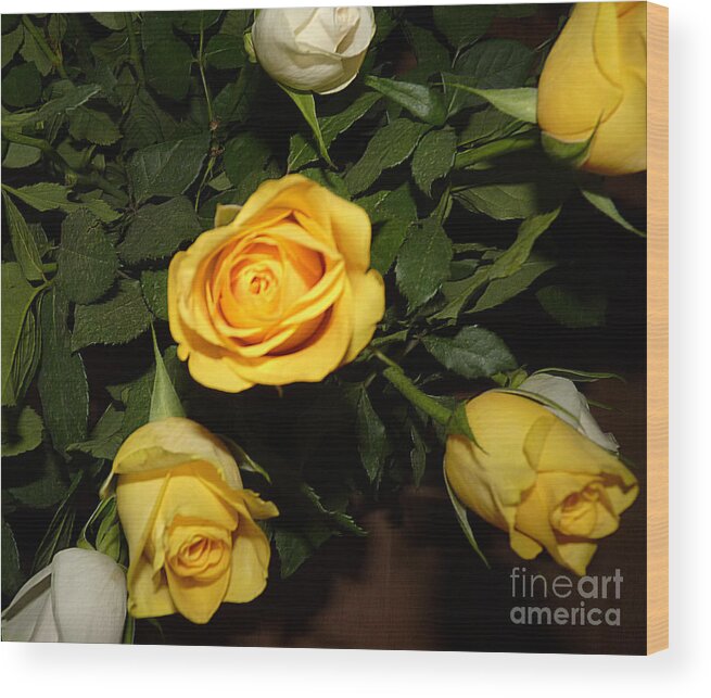 Yellow Wood Print featuring the photograph Yellow and white Roses by Eva-Maria Di Bella