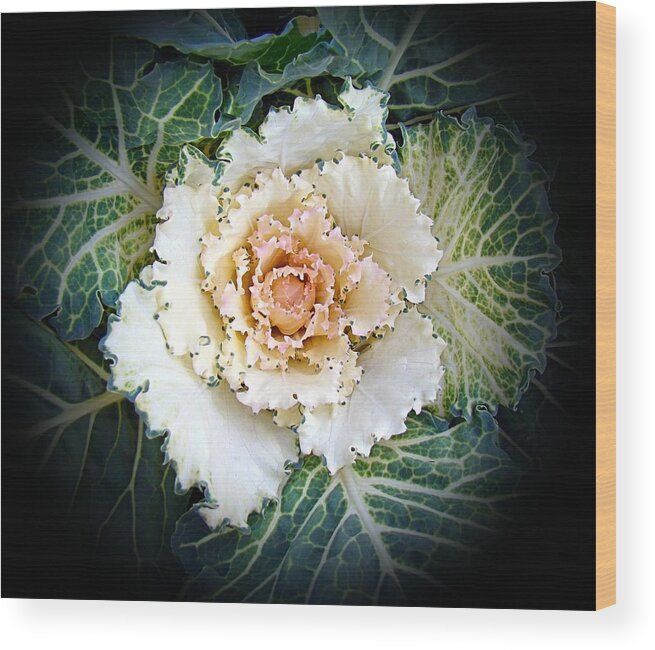 Autumn Wood Print featuring the photograph Autumn Colors Kale 1 by Nick Kloepping