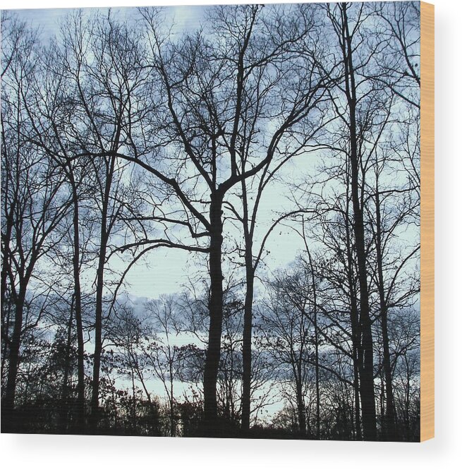 Trees Wood Print featuring the photograph Blue Mirage by Pamela Hyde Wilson