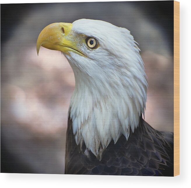 Bald Wood Print featuring the photograph By The Light of The Silvery Moon - Bald Eagle by Donna Proctor