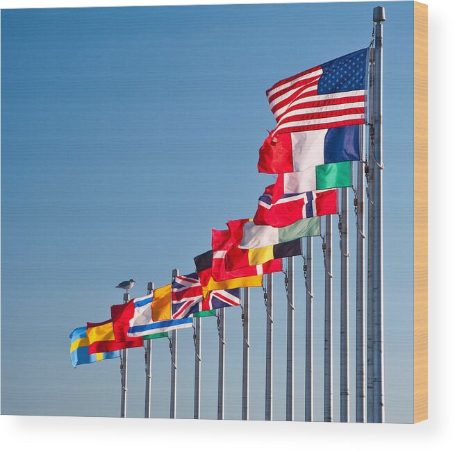 Flags Wood Print featuring the photograph Leading The Way by Cathy Kovarik