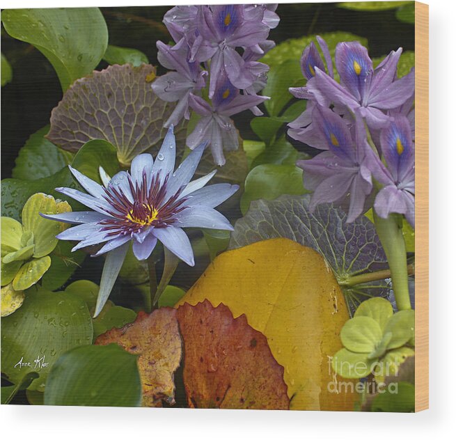 Blue Lilies Wood Print featuring the photograph Lilies No. 37 by Anne Klar