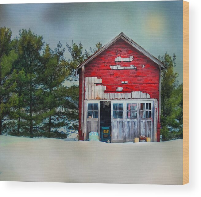 Barn Wood Print featuring the photograph Little Red Shed by Mary Timman