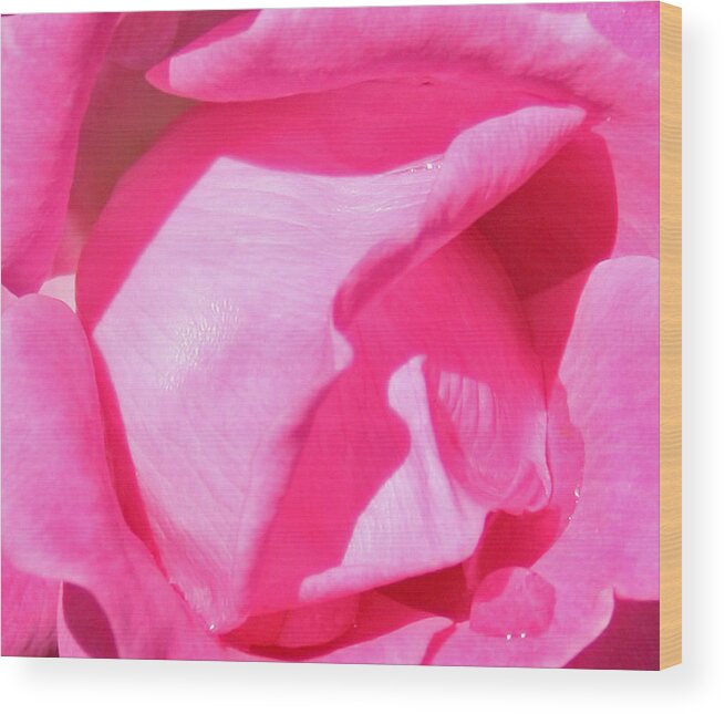 Pink Wood Print featuring the photograph Pleasingly Pink by Karen Harrison Brown