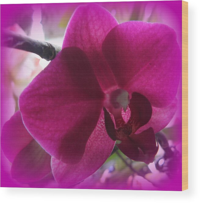 Purple Wood Print featuring the photograph Purple Orchid by Kim Galluzzo