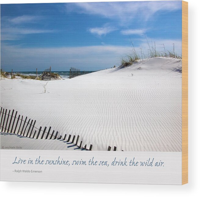 Pensacola Wood Print featuring the photograph Sand Dunes Dream 3 by Marie Hicks