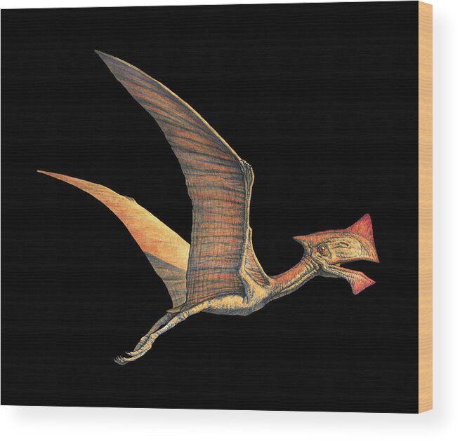 Pterodactyl Wood Print