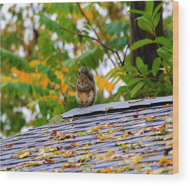 Squirrel Wood Print featuring the photograph The Poser II by Jeanette C Landstrom