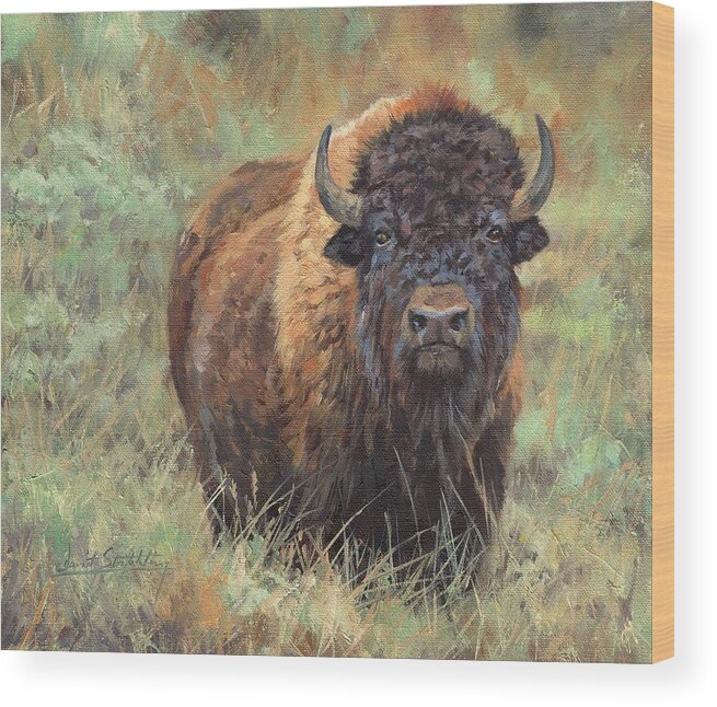 Bison Wood Print featuring the painting Bison #1 by David Stribbling