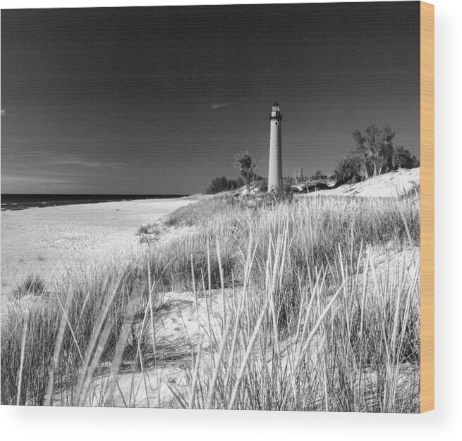 Beach Wood Print featuring the photograph Little Sable Light Station - Film Scan #2 by Larry Carr