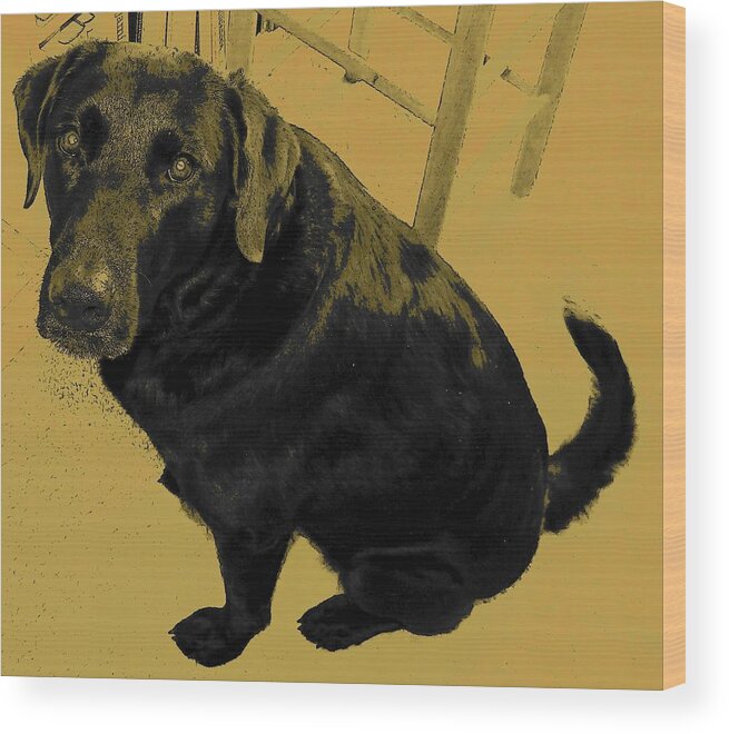 Dog Wood Print featuring the photograph Any Chance I Can Go With You by Lenore Senior