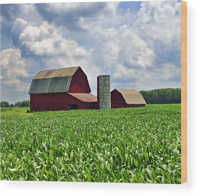 Barn Wood Print featuring the photograph Barn in the Corn by David Arment