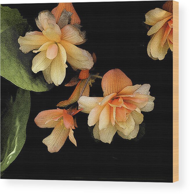 Apricot Begonias; Flowers; Garden Plants; Gardens; Plants; Nature Wood Print featuring the photograph Begonias 2 by Janis Senungetuk