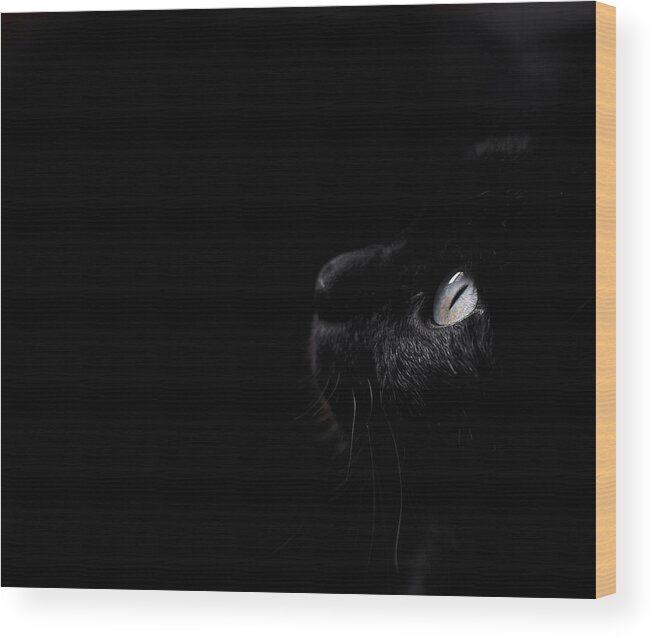 Black Wood Print featuring the photograph Black beauty by Laura Melis