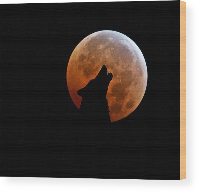 Blood Moon Wood Print featuring the digital art Blood Full Moon and the Wolf by Marianna Mills